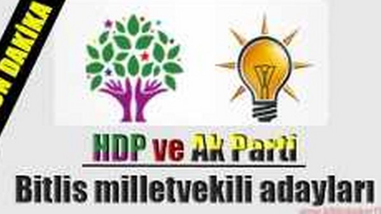 Hdp Ve Ak Parti Bitlis Milletvekili Adaylar Tam Liste Bitlis Haber