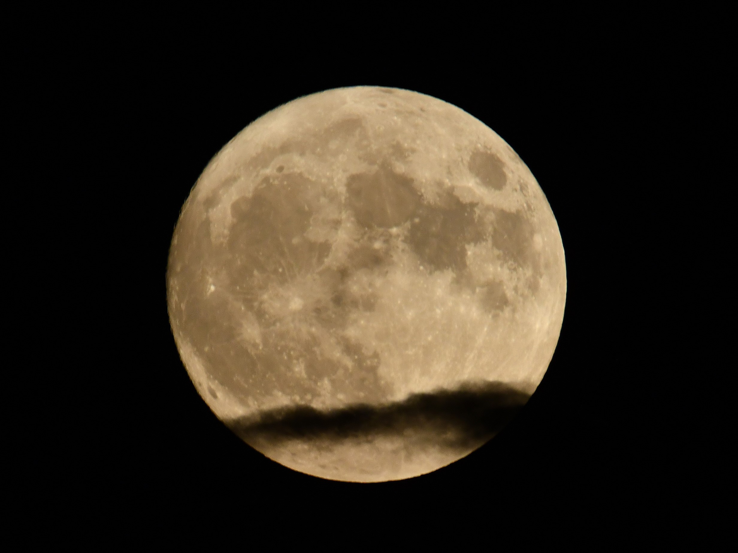 aw019691-05.jpg