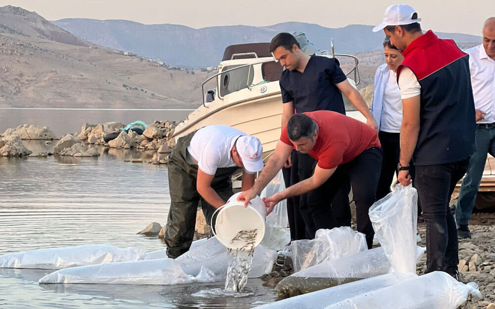 komsu-ilde-baraj-goletlerine-342-bin-yavru-sazan-baligi-birakildi-155359-20230927.jpeg