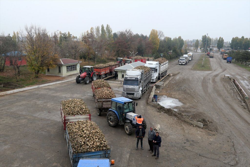 aa-32961584-31-t-min.jpg