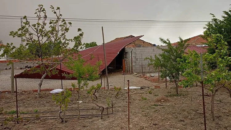 2024-nisan-klus1.webp