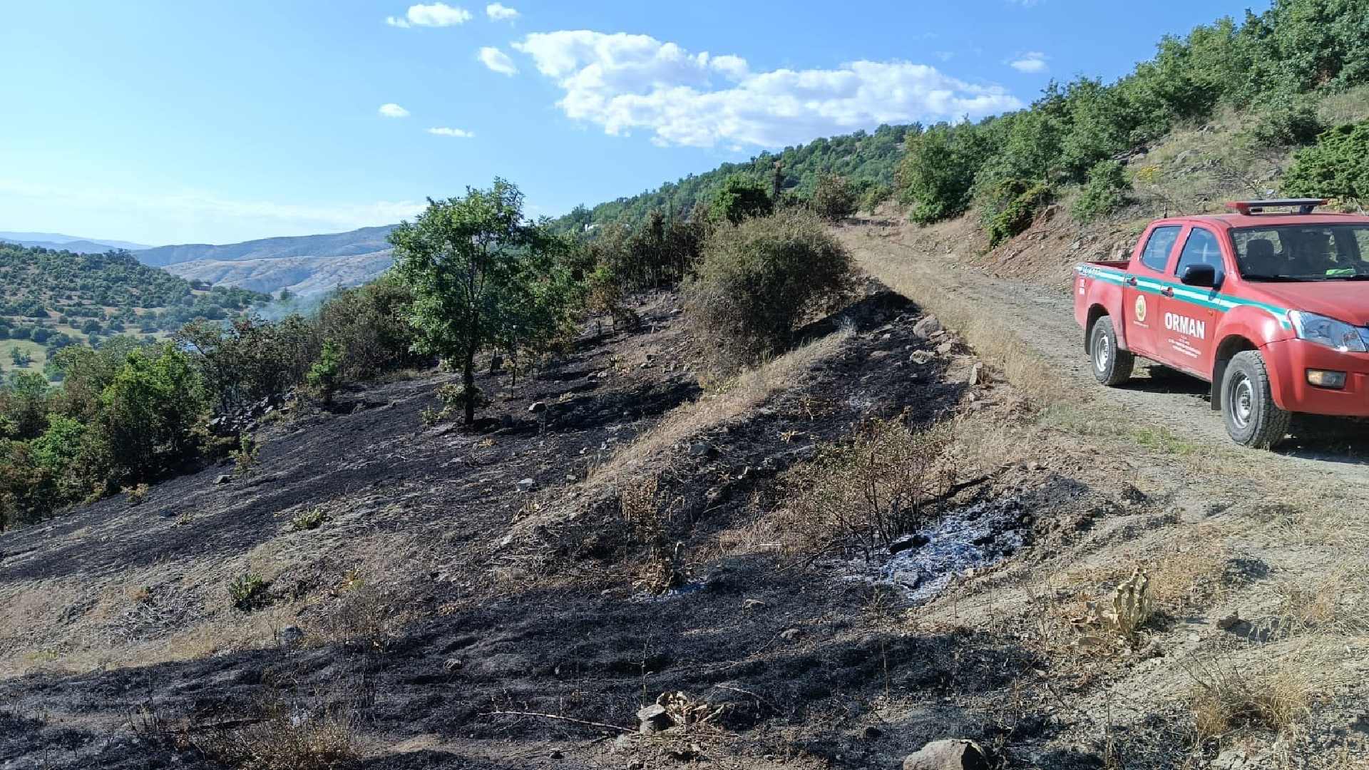 Ağaçlık Alanda Çıkan Yangın Korkuttu (1)