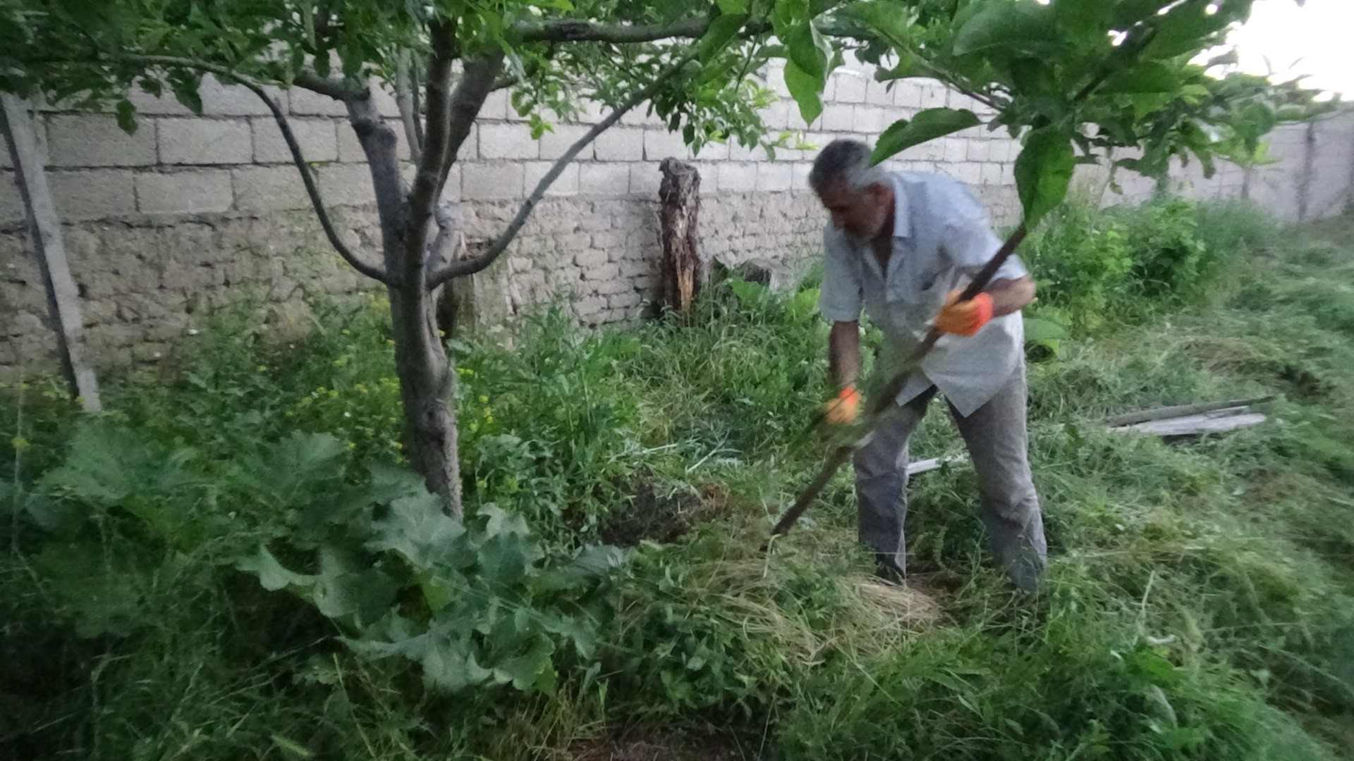 Halk Tedirgin Salyangozlar Van'ı İstila Etti (3)