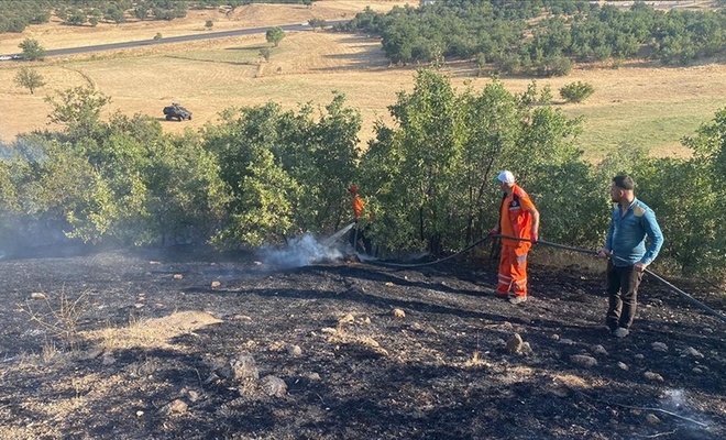 Bingolde Cikan Orman Ve Ortu Yanginlari Sonduruldu Eb9A2910