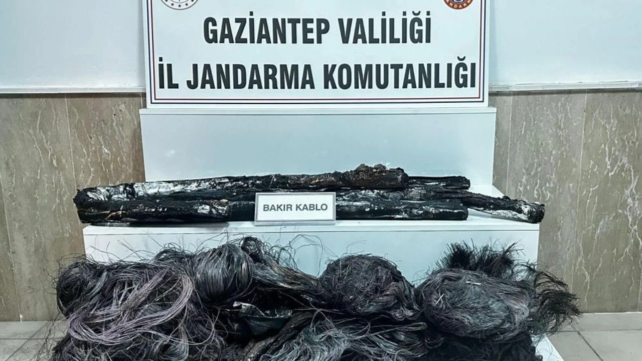 15 Milyon Tl Degerinde Bakir Kablolari Yakan 2 Supheli Yakalandi