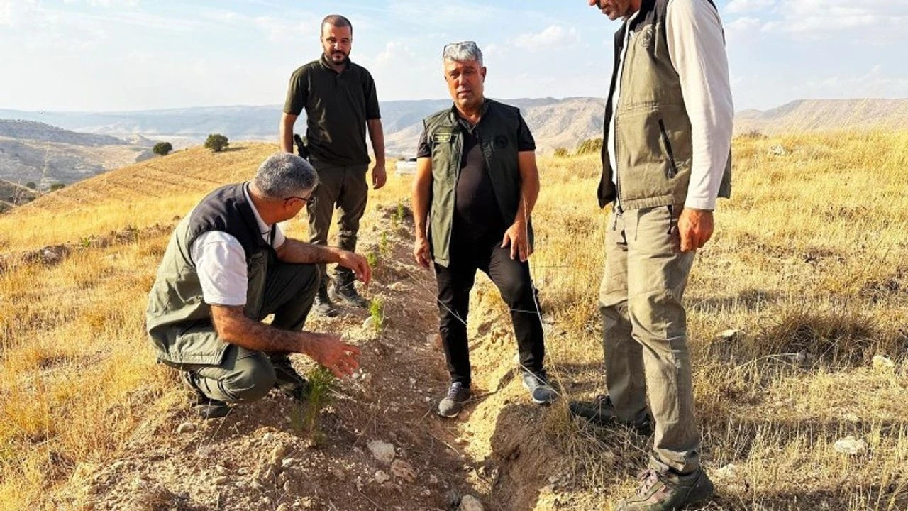 Batmanda Bin Dekarlik Alanda Inceleme Yapildi