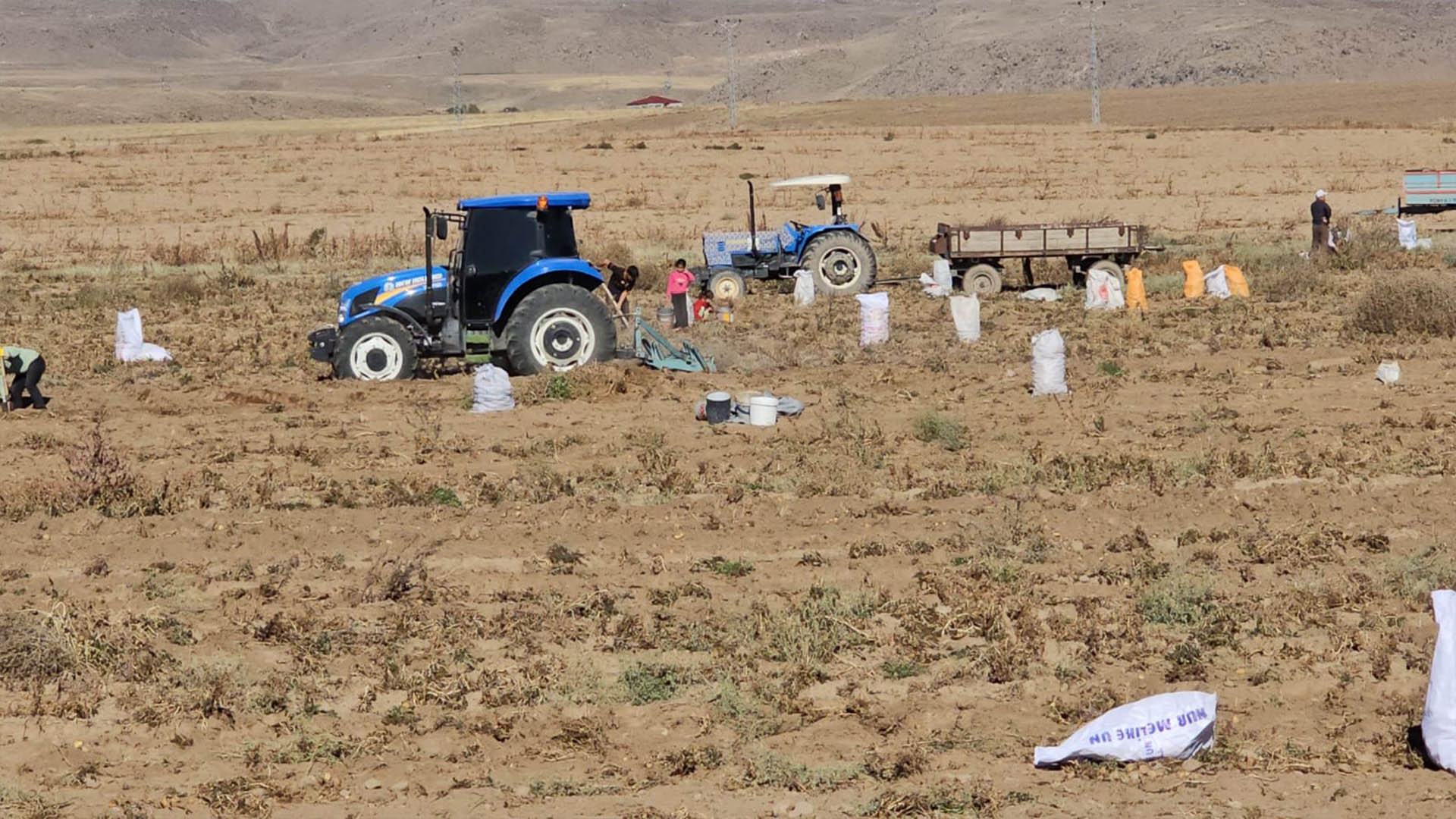 Bitlis'te Çiftçiden Vatandaşa Ücretsiz Patates Dağıtımı 1