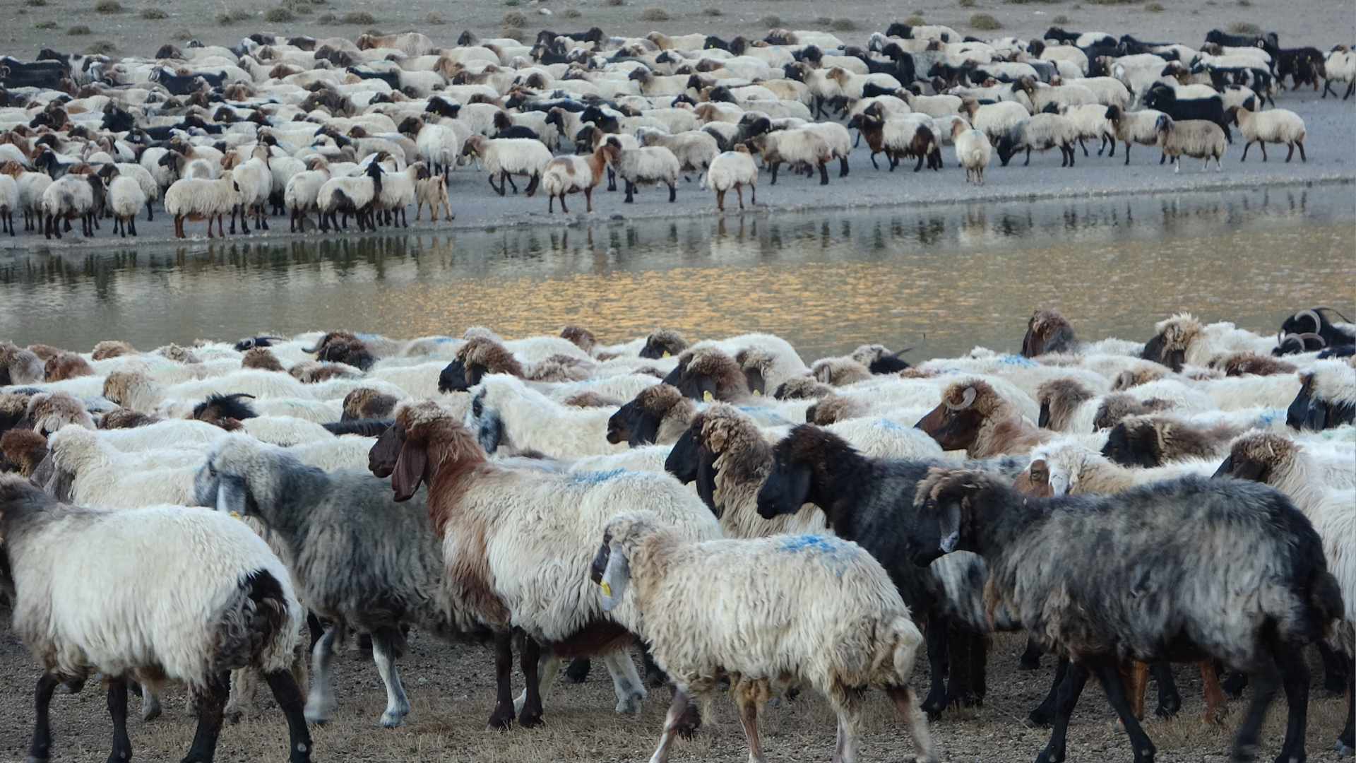 Kapak Projesi En Yeni 11 (33)