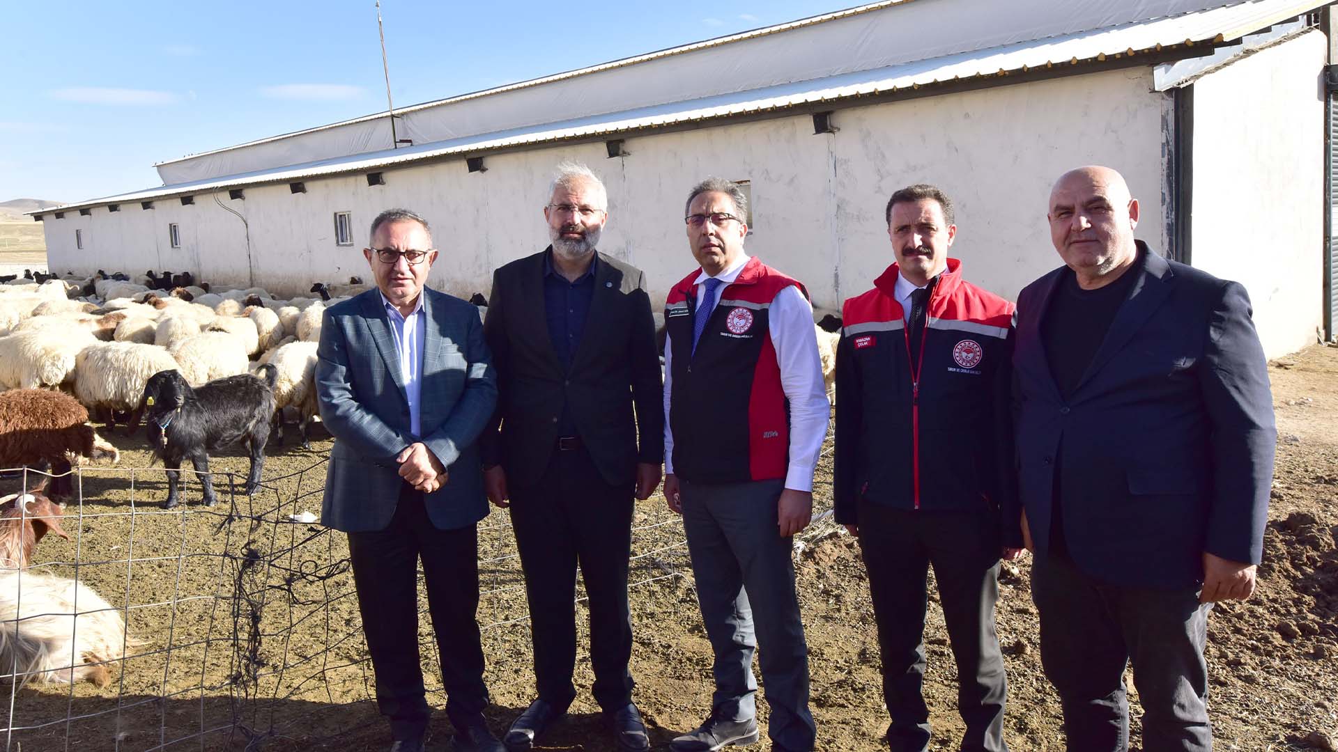 Tarım Ve Orman Bakan Yardımcısı Gümen, Ahlat'ta Tesisleri İnceledi 7