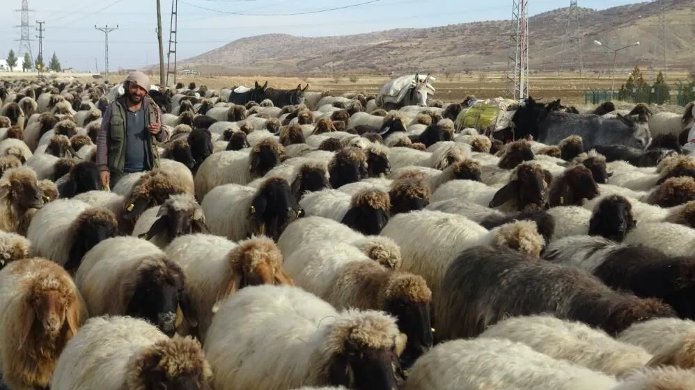 Batmanda Gocerlerin Zorlu Donus Yolculugu Suruyor 5