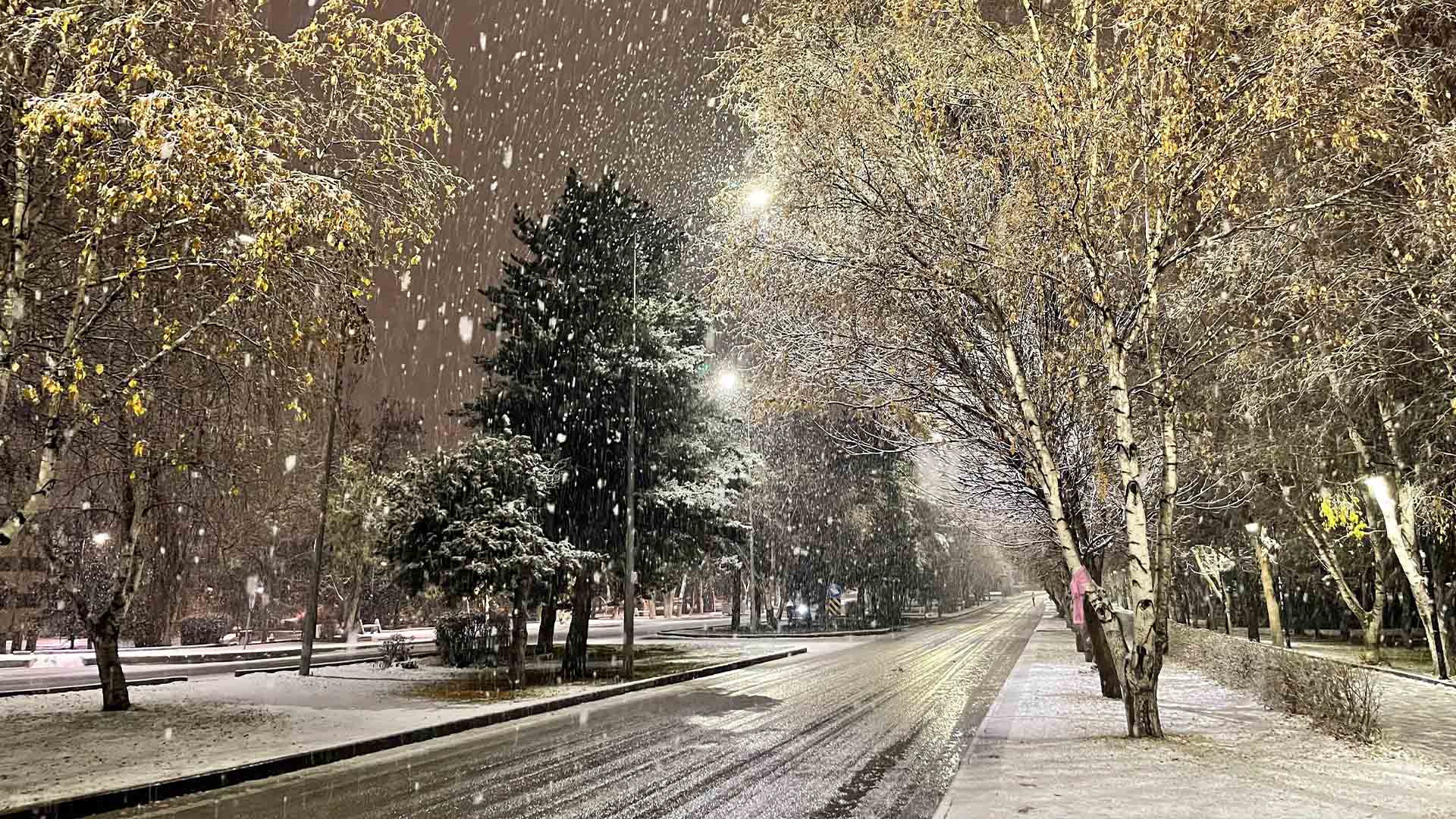 Erzurum’da Kar Yağışı Etkili, Sokaklar Beyaza Büründü