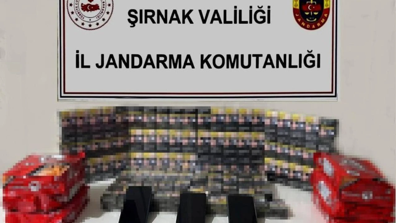 Sirnakta Kacakcilik Operasyonu 3 Tutuklama 1