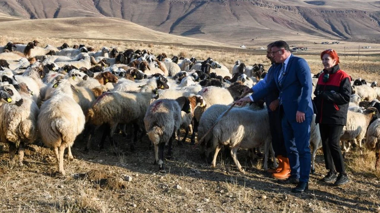 Vanda 2 Bin Ciftciye 200 Bin Koyun Verildi