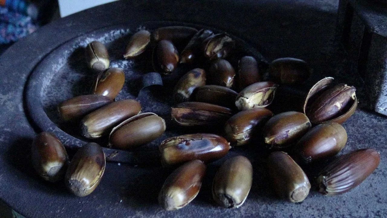 Eskiden Gecim Kaynagiydi Simdi Satmiyor Cerez Niyetine Tuketiyorlar Kapak