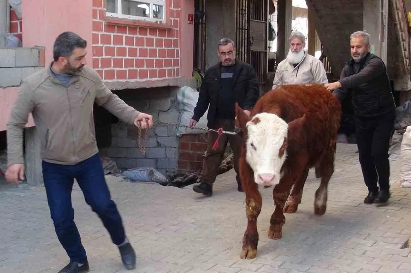 Hayirsever Kadin Gecimini Saglamak Icin Besledigi Danayi Gazze Icin Bagisladi 3