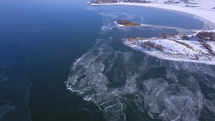 2025 02 20250203 2 67541223 109244098