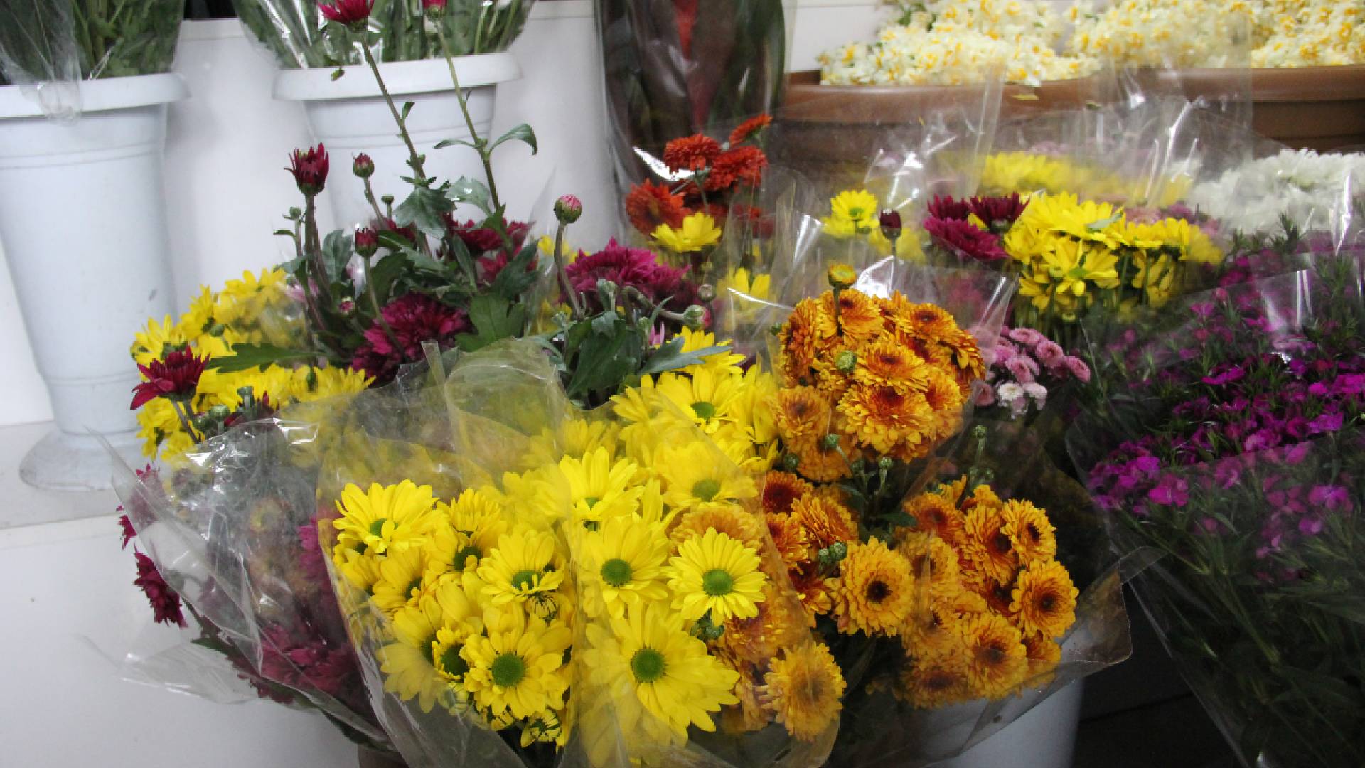 Haber Kapak Şablon 2025 02 12T181920.392