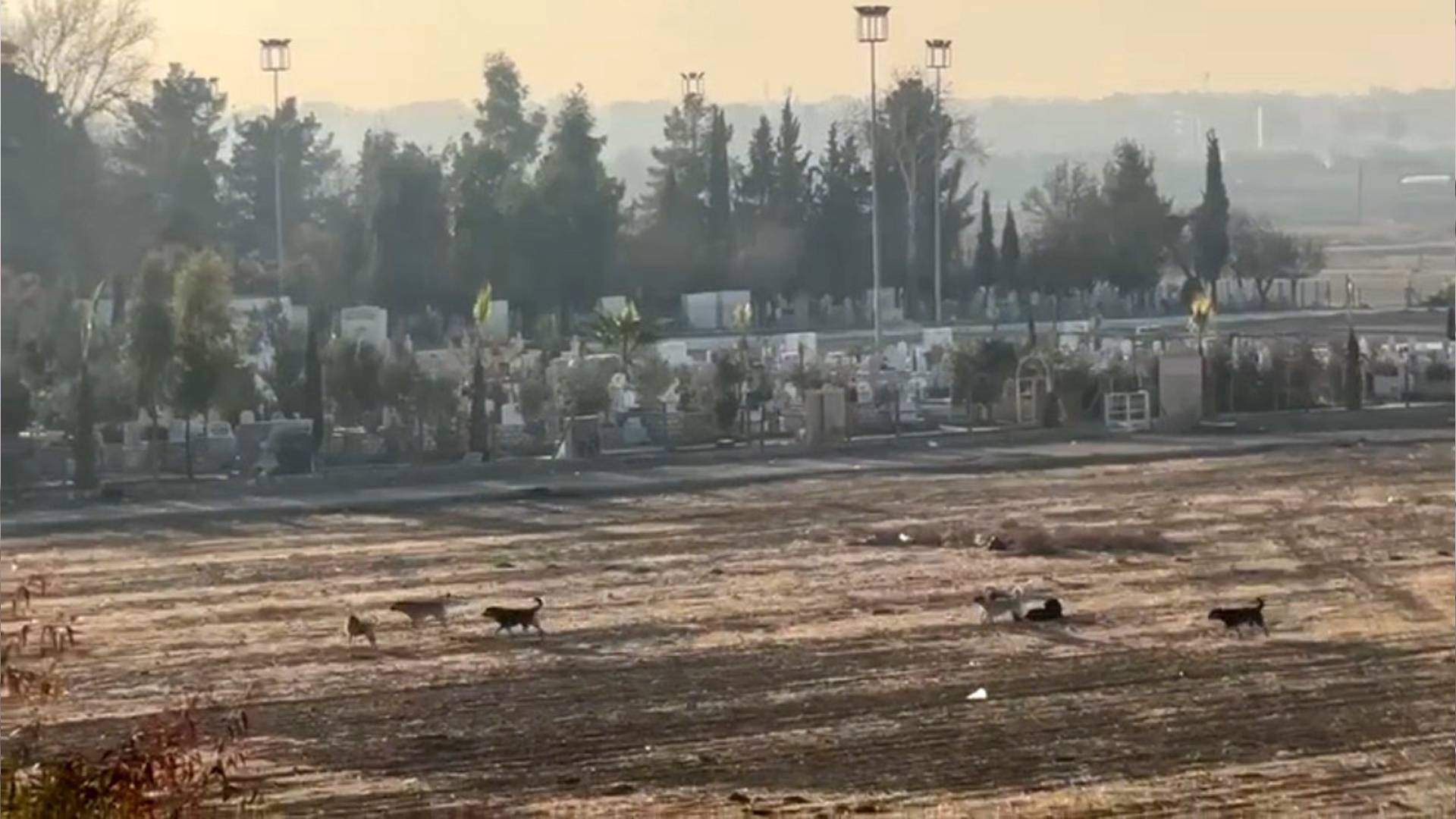Haber Kapak Şablon (32)-4