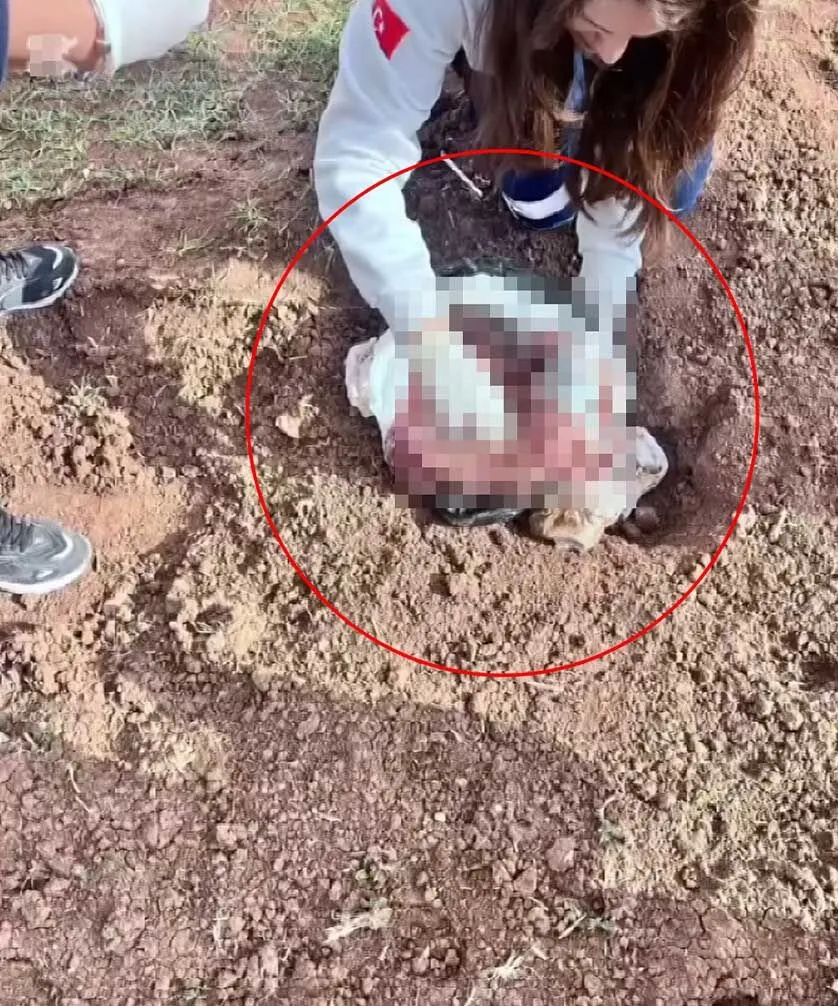 Sirnakta Poset Icerisinde Yeni Dogmus Kiz Bebek Cesedi Bulundu 1