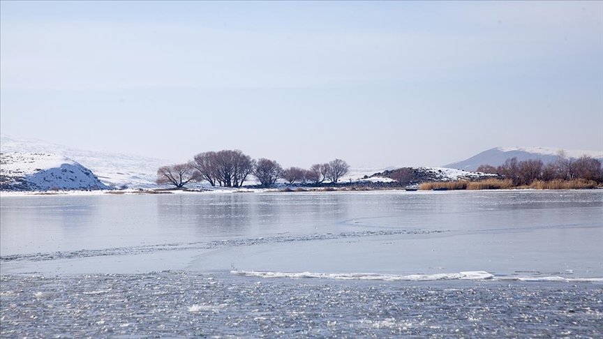 Thumbs B C 1264E3835699Ddb875Fe15Bbe342Af75