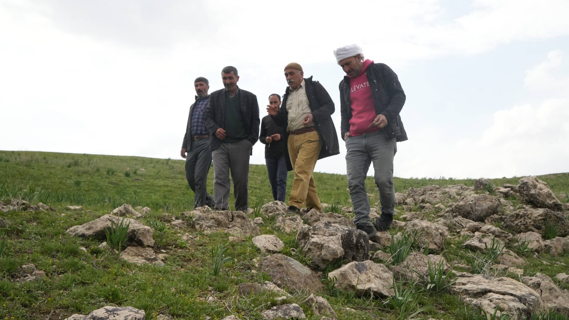 Haber Kapak Şablon (16)-18