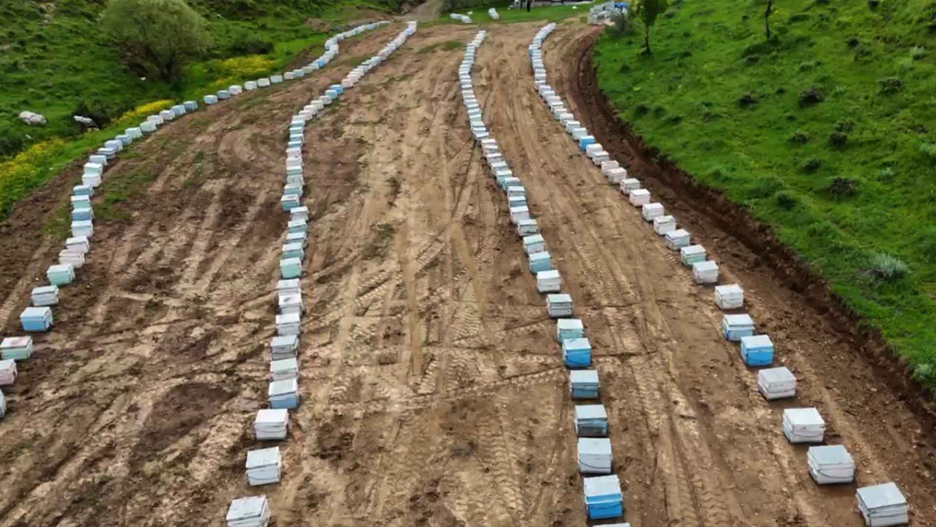 Bitlis Arı Yetiştiricileri Birliği Başkanlığına Caner Güngördü Seçildi 3