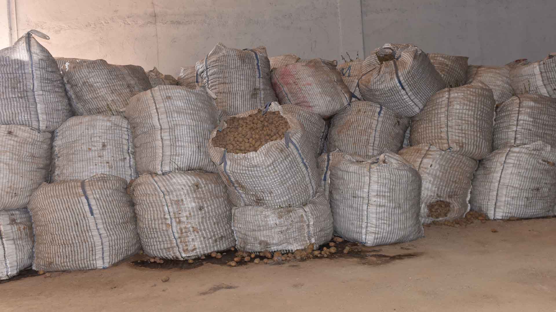 Bitlis'te 20 Bin Ton Patates Elde Kaldı, Çiftçiler Çözüm Bekliyor 1