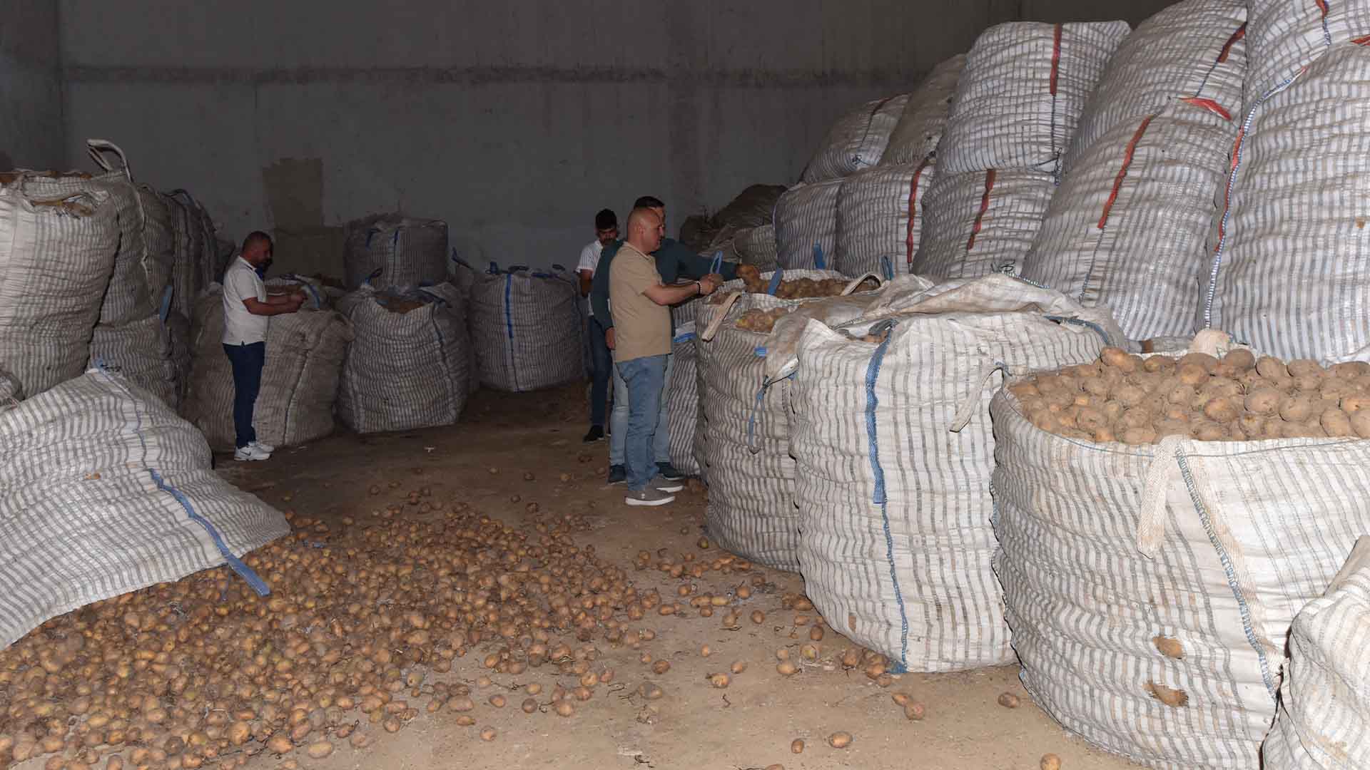 Bitlis'te 20 Bin Ton Patates Elde Kaldı, Çiftçiler Çözüm Bekliyor 3