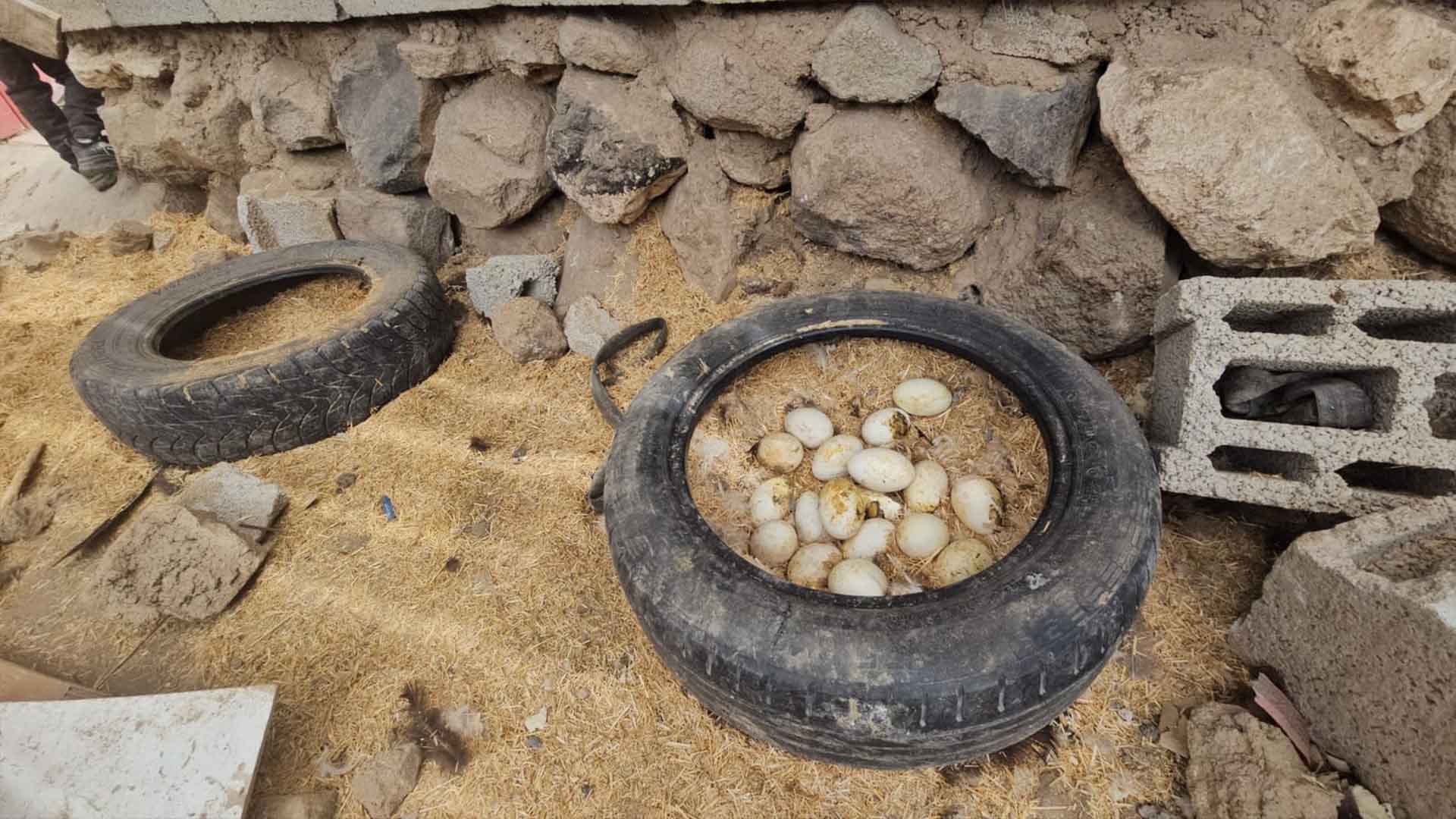 Bitlis'te Fırtına Ev Ve Ahırların Çatısını Uçurdu 2