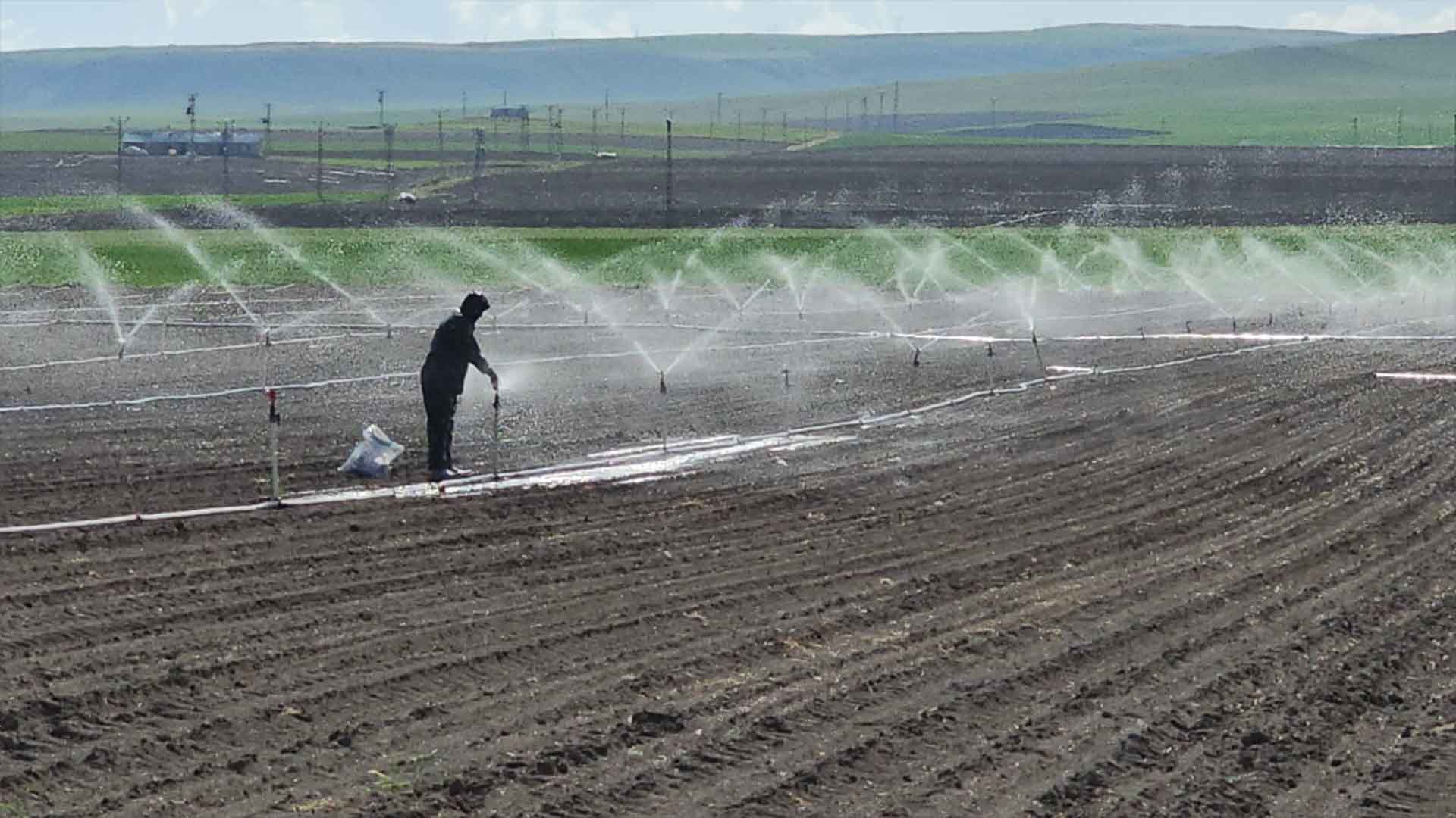 Bitlis'te Şeker Pancarı Ekim Sezonu Başladı 2