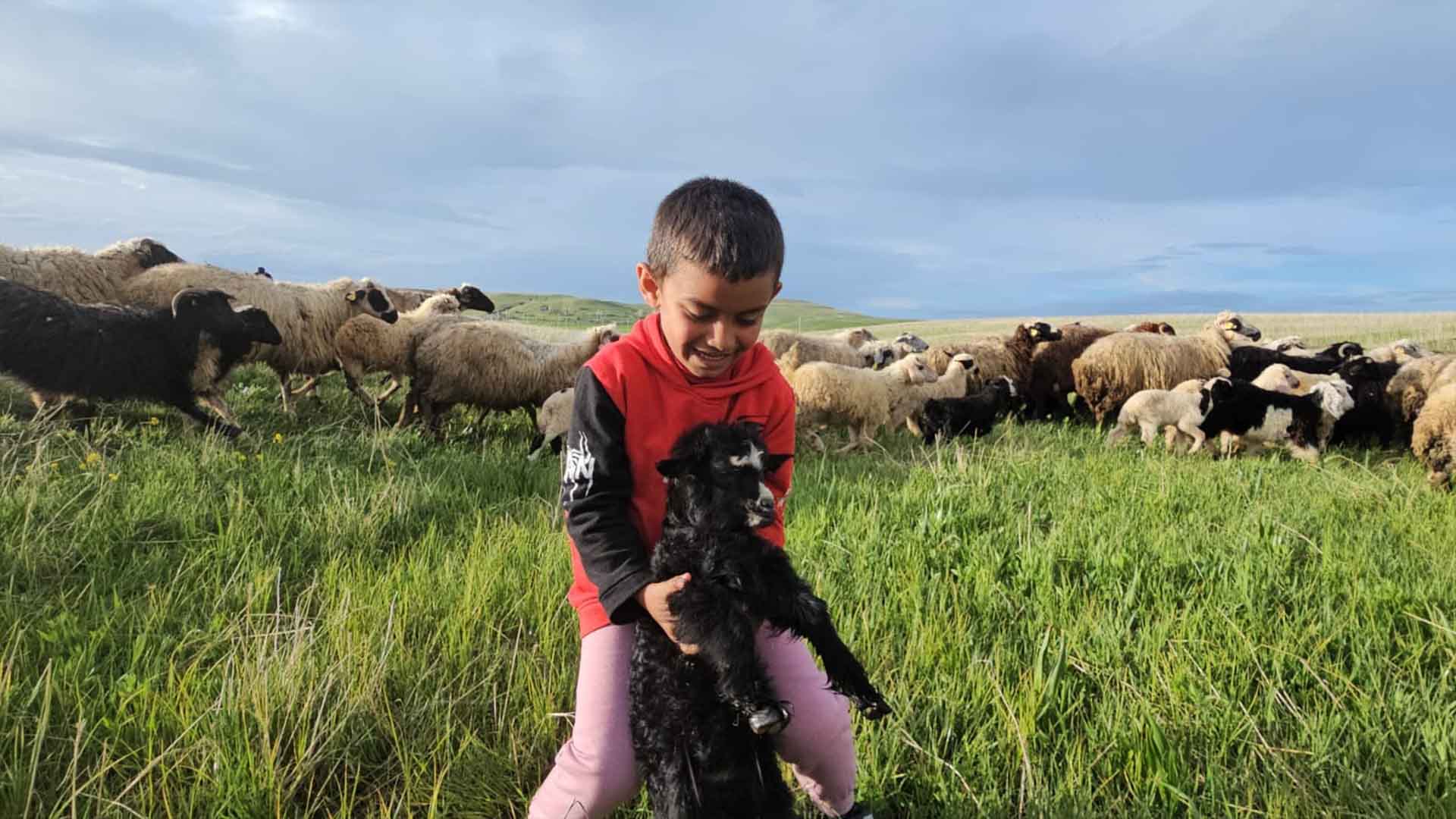 Bitlis'te Yayla Göçü Başladı, Besiciler 7 Ay Sürecek Serüvene Çıktı 1