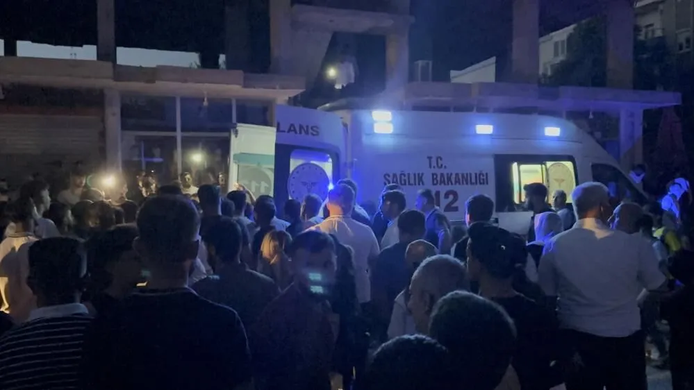 Demir Cubugu Yuksek Gerilim Hattina Degdi Hayatini Kaybetti 2