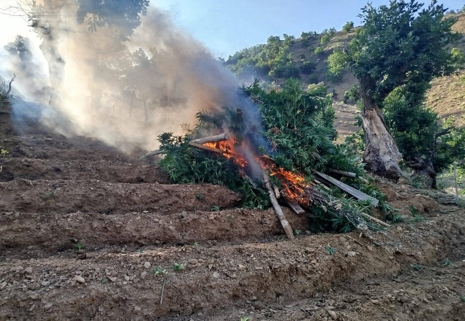 A W478351 02