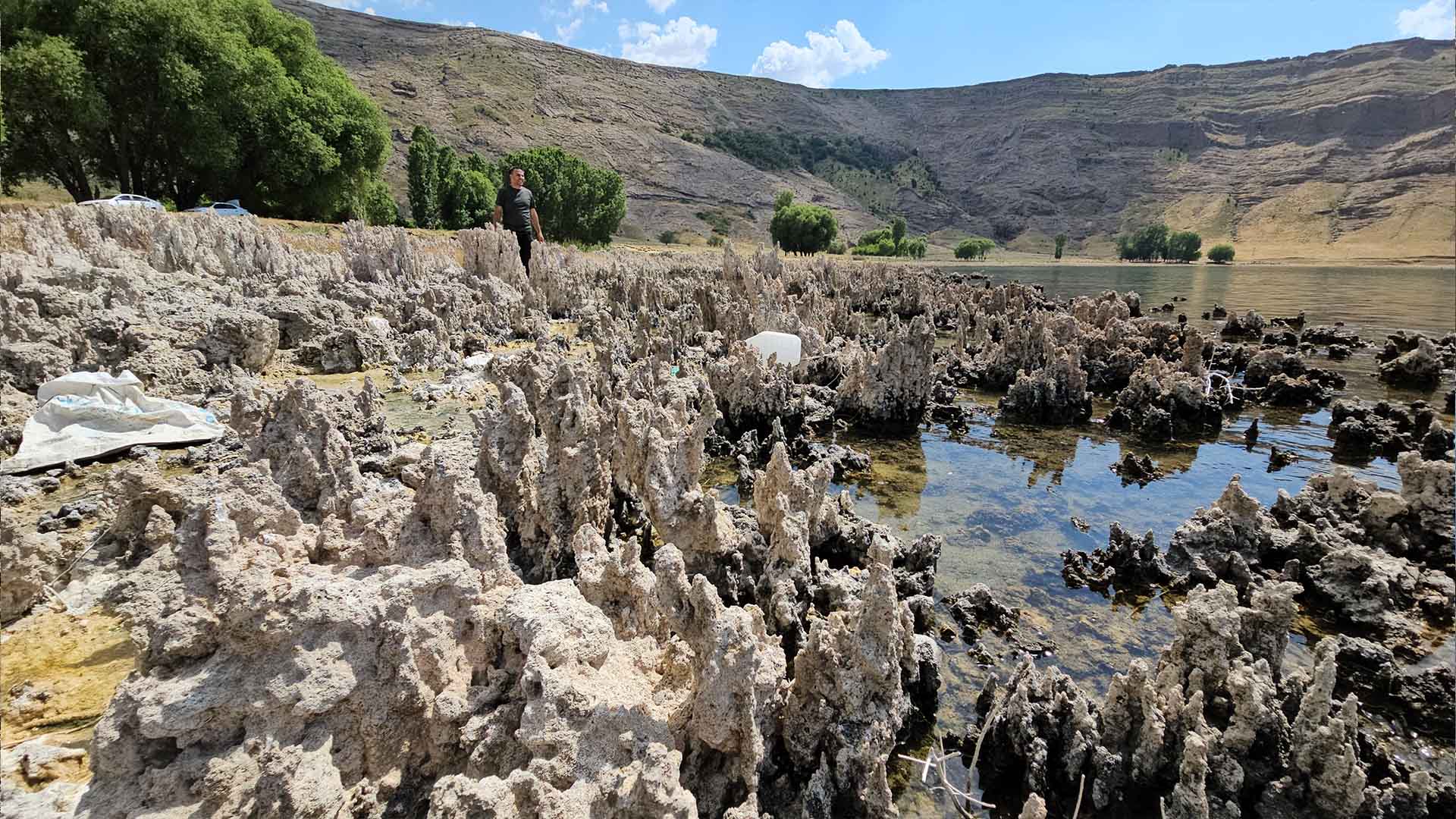 Bitlis'in Van Gölü Sahilleri Mikrobiyalit Tarlasına Döndü 1