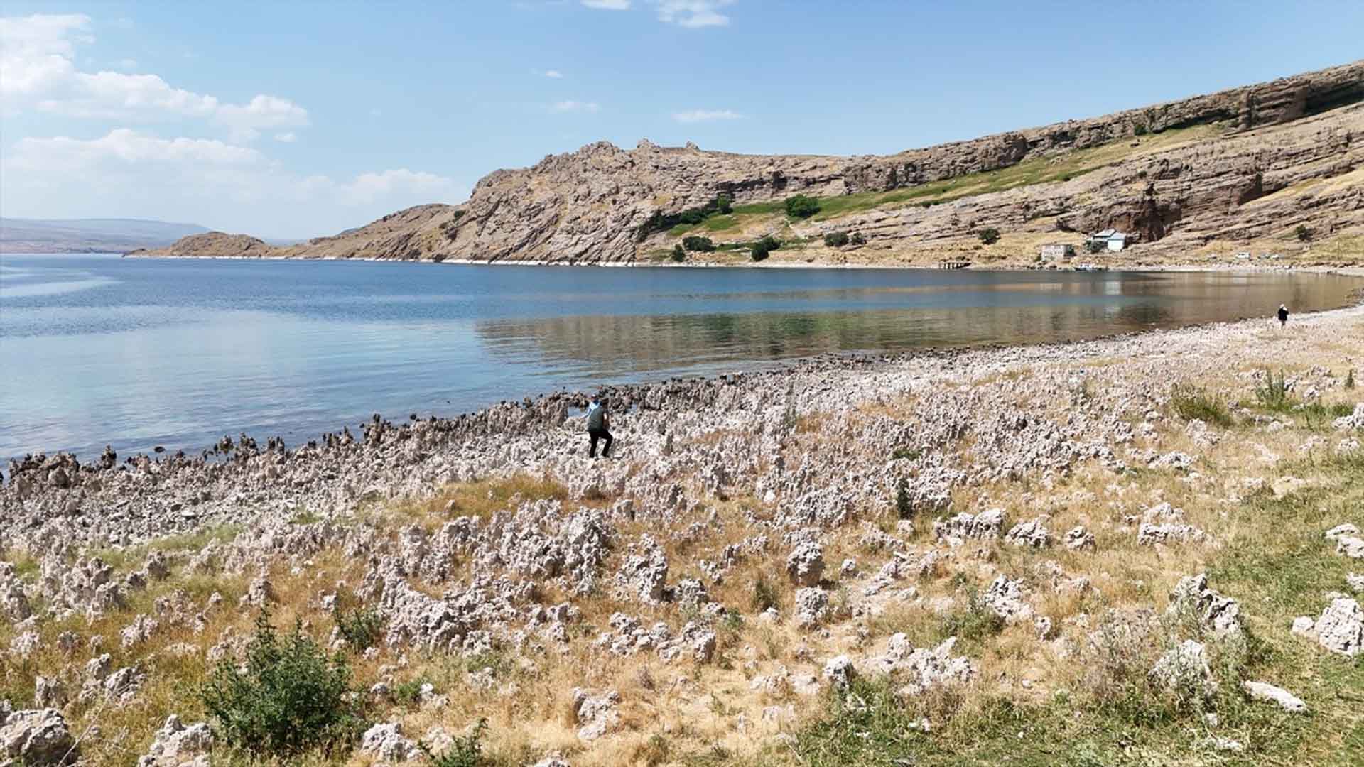Bitlis'in Van Gölü Sahilleri Mikrobiyalit Tarlasına Döndü 3