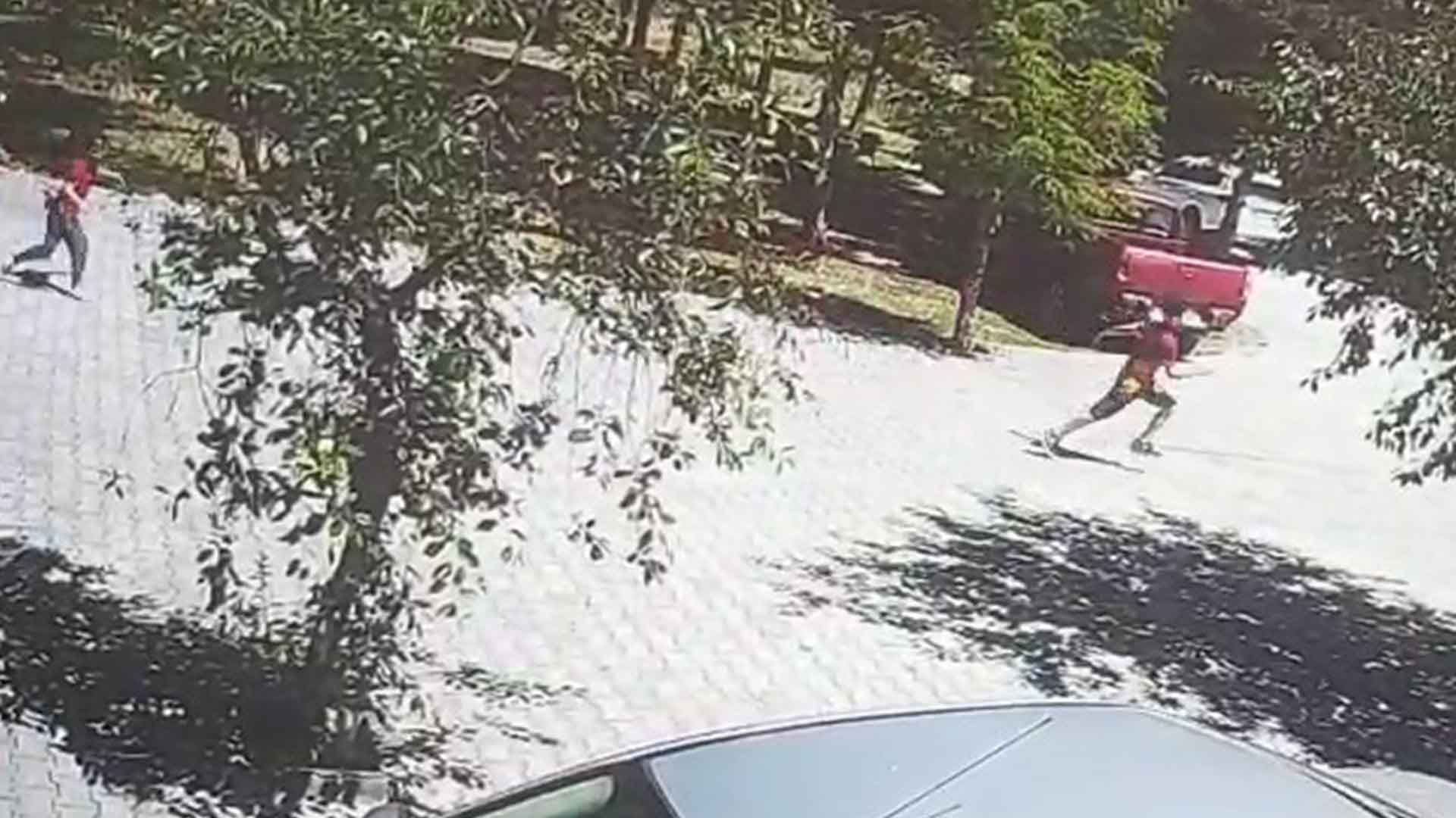 Bitlis'te Başıboş Köpekler Küçük Kız Çocuğuna Saldırdı 1