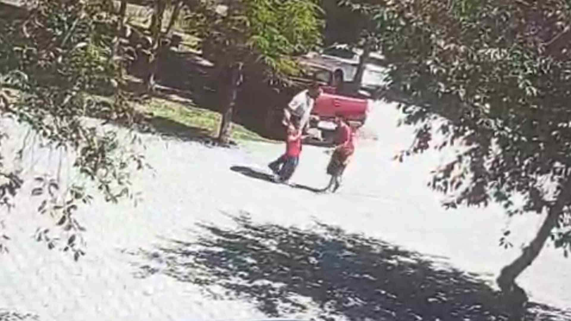 Bitlis'te Başıboş Köpekler Küçük Kız Çocuğuna Saldırdı 2