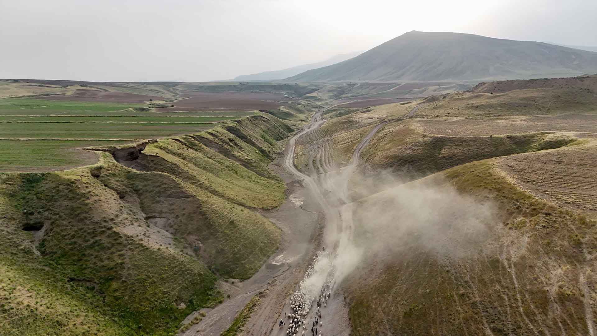 Bitlis'te Yayla Göçü Başladı, Sürüler Tozlu Yollarda 3