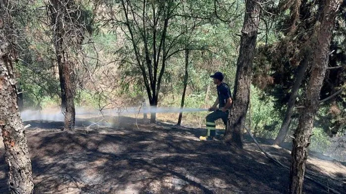 Cakmakla Oynayan Cocuklar Orman Yanginina Yol Acti 3