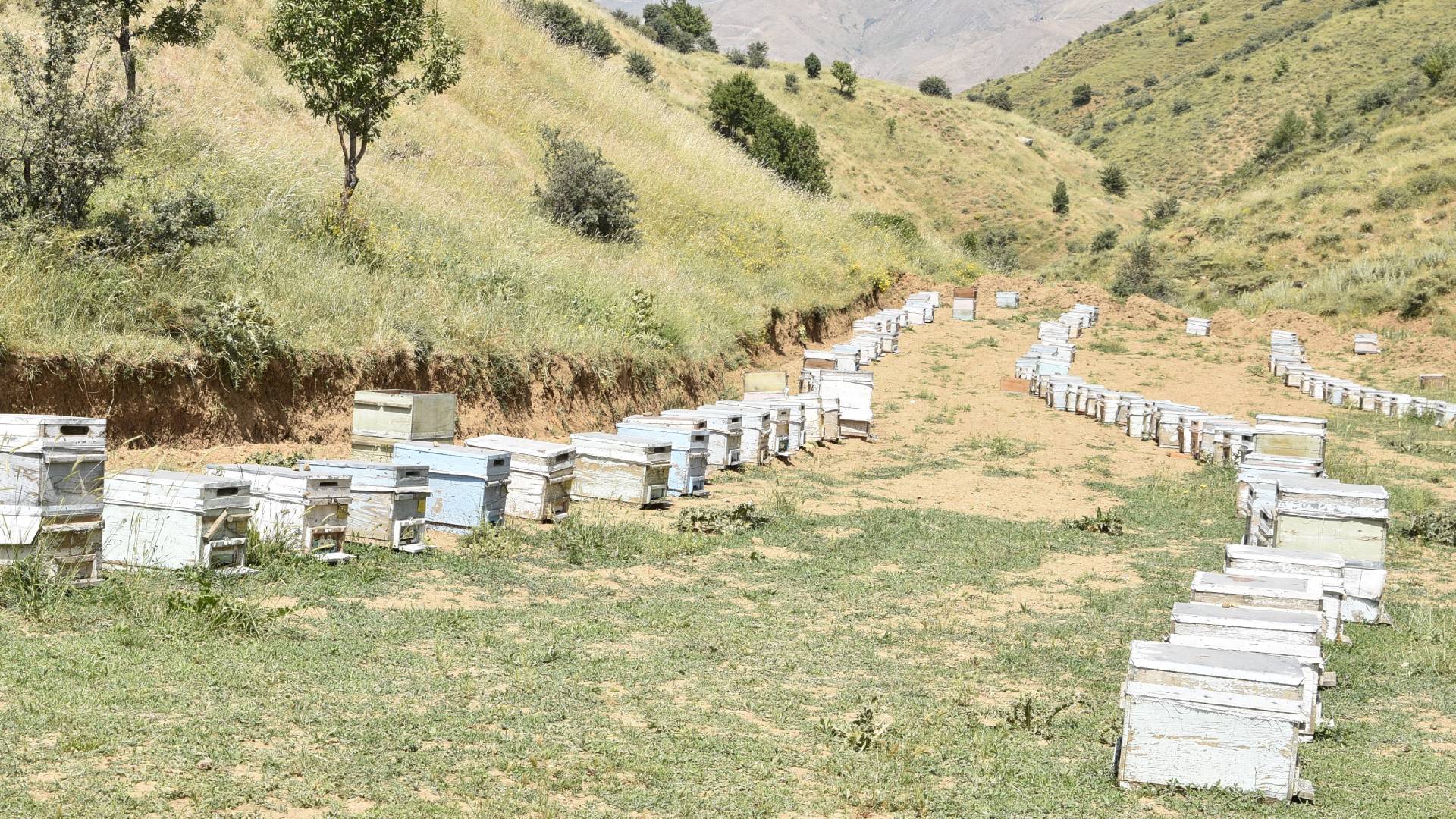 Haber Kapak Şablon (67)-9