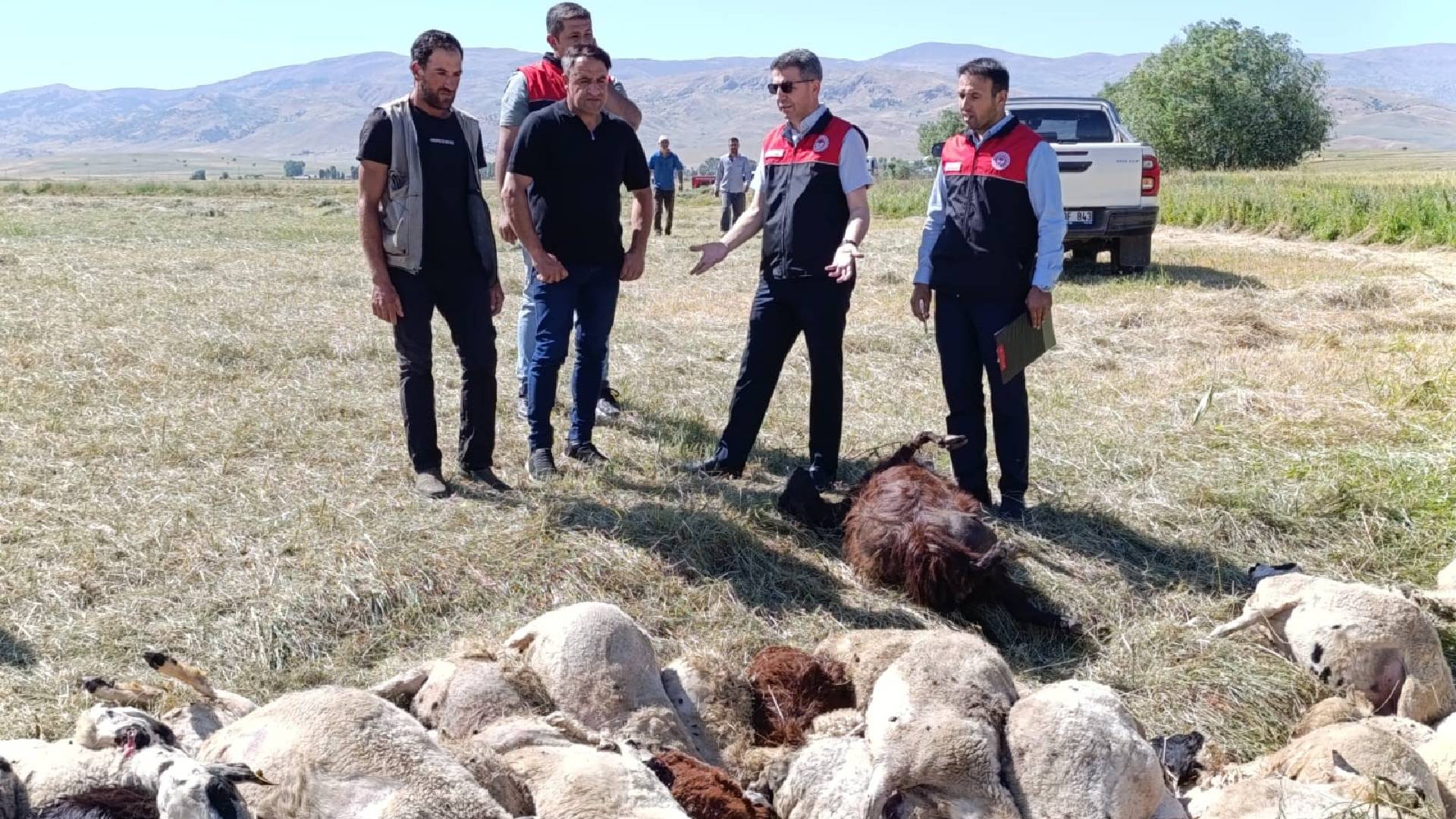 Haber Kapak Şablon (76)-8