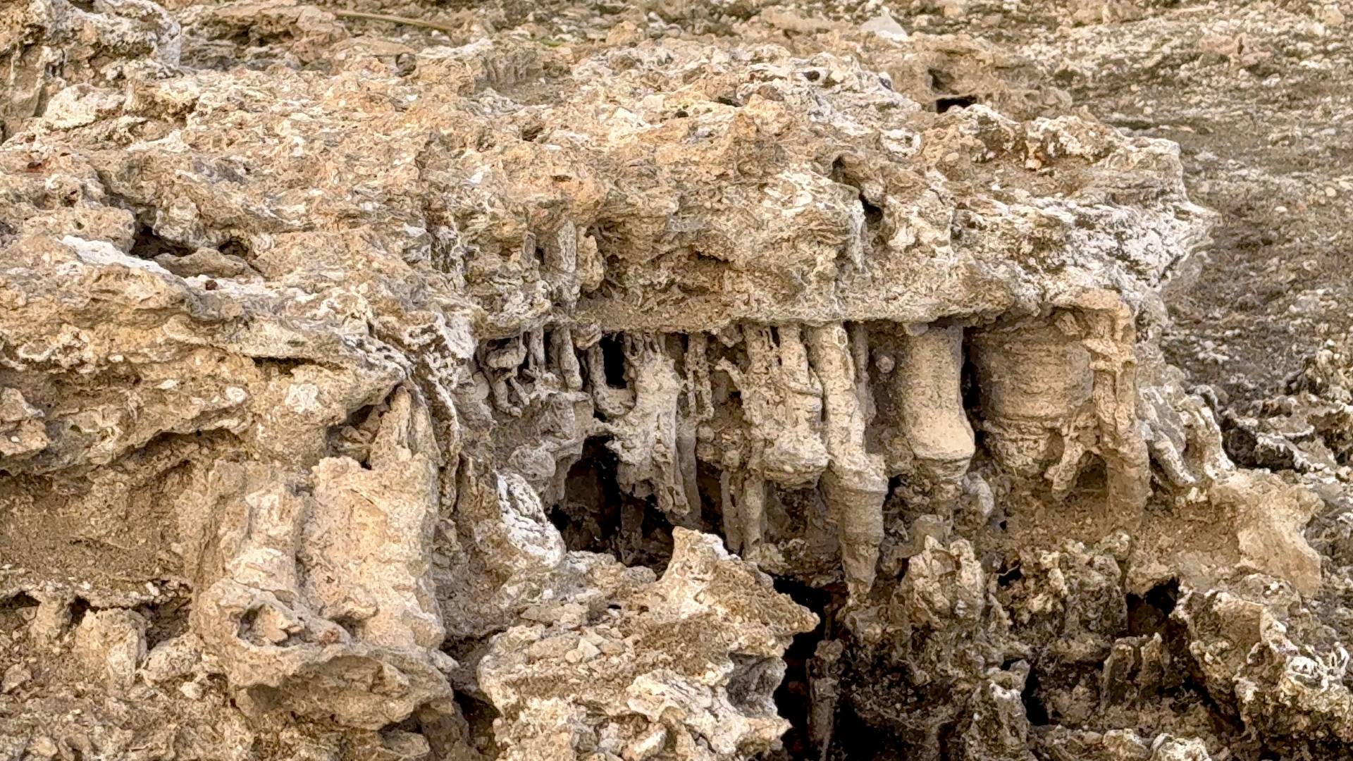 Haber Kapak Şablon (83)-8