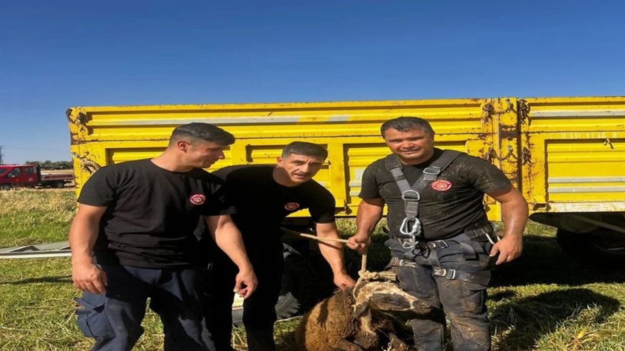 Kuyuya Dusen Koyun Itfaiye Ekipleri Tarafindan Kurtarildi