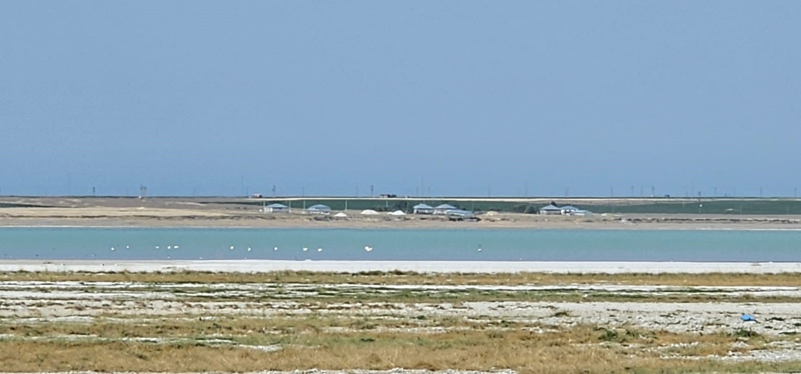 A W501729 04