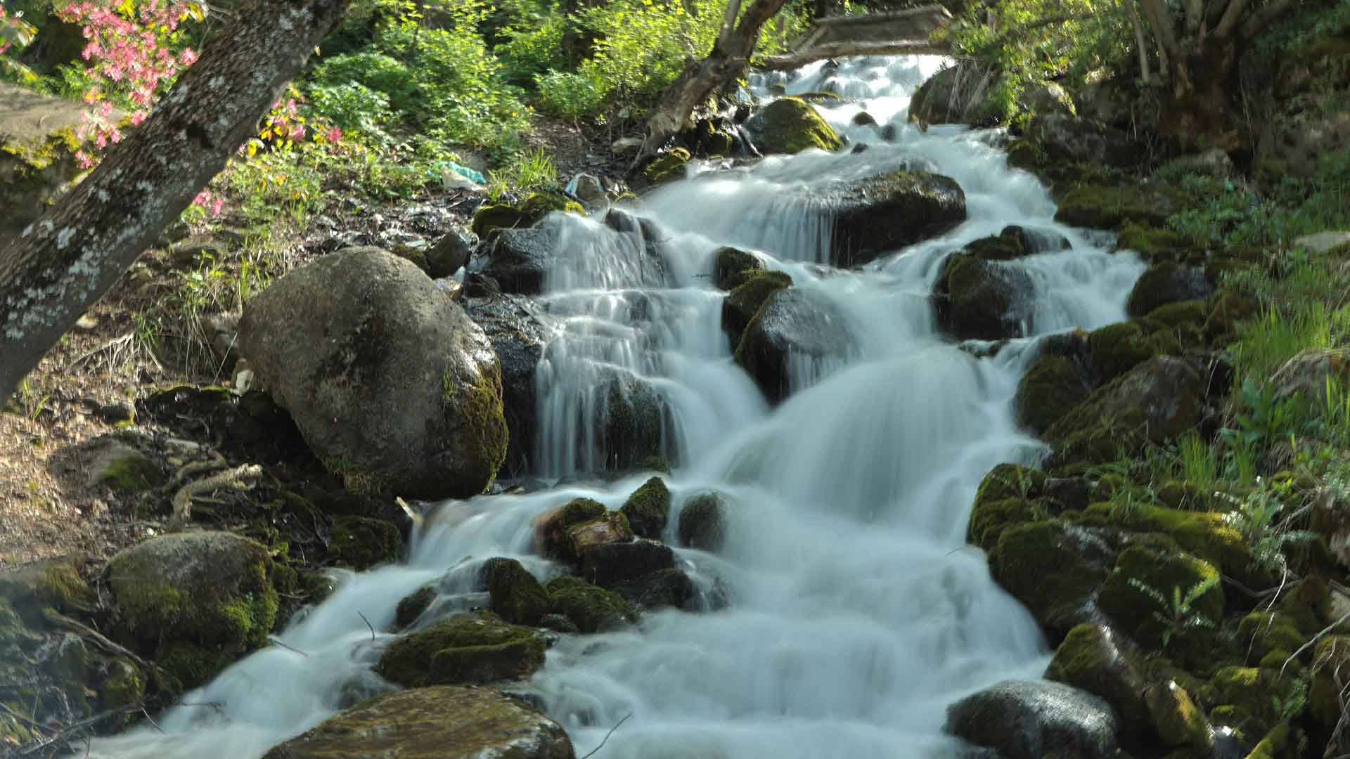 Bitlis’in Saklı Cennetleri Doğaseverleri Bekliyor 3