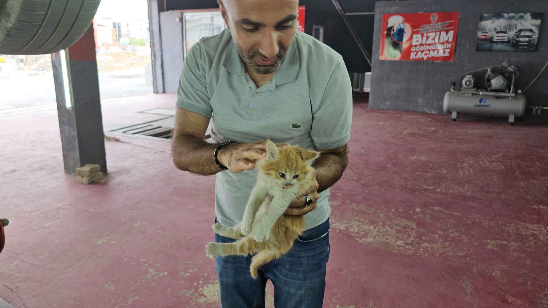 Bitlis'te Motor Bölmesine Saklanan Yavru Kedi, Üç Şehir Gezip Annesine Kavuştu 3
