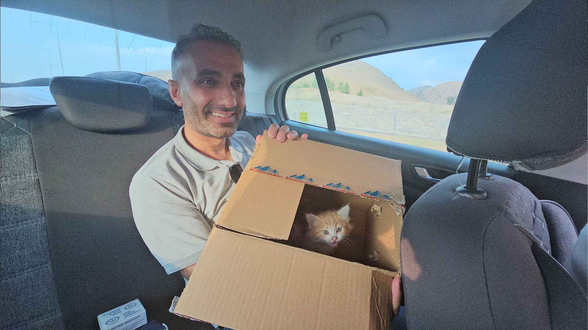 Bitlis'te Motor Bölmesine Saklanan Yavru Kedi, Üç Şehir Gezip Annesine Kavuştu 4