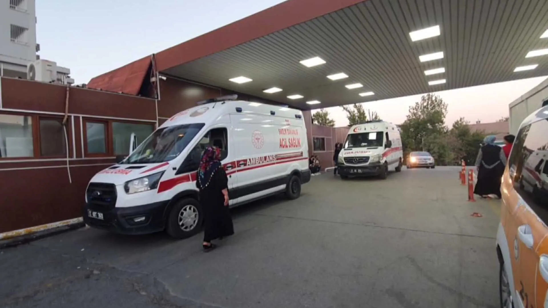 Diyarbakirda Bir Kisi Birlikte Yasadigi Kadini Silahla Vurarak Oldurdu 4