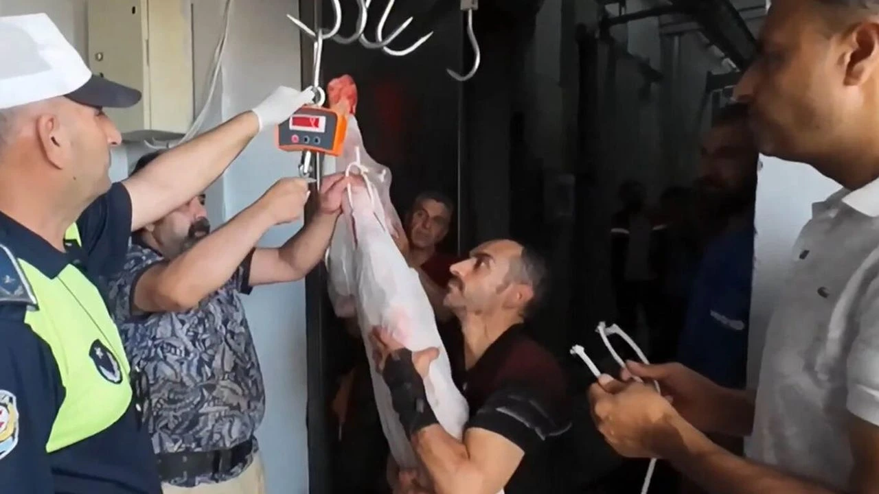 1B6E80D5 13B2 433C Ae8D 734Ff94E