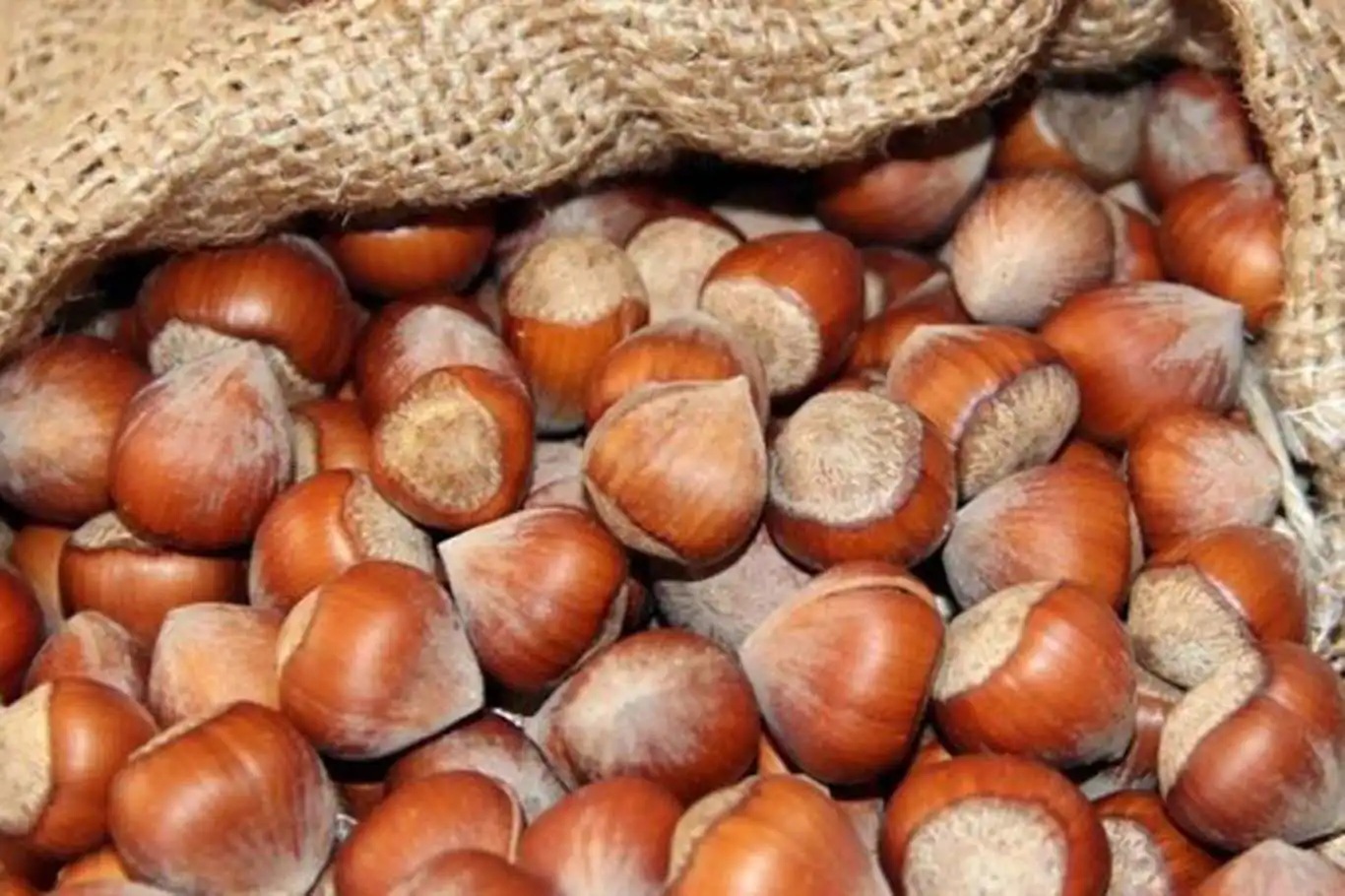 3304725E B512 4563 8Bf6 8037F3D36Bc4